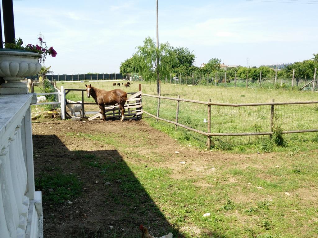 Отель La Siesta Виллафранка-ди-Верона Экстерьер фото